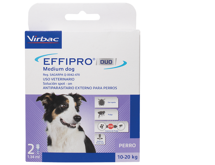 Effipro Duo Medium Dog para perros de 10-20 kg 2 pipetas ( Fipronil - Piriproxifen)